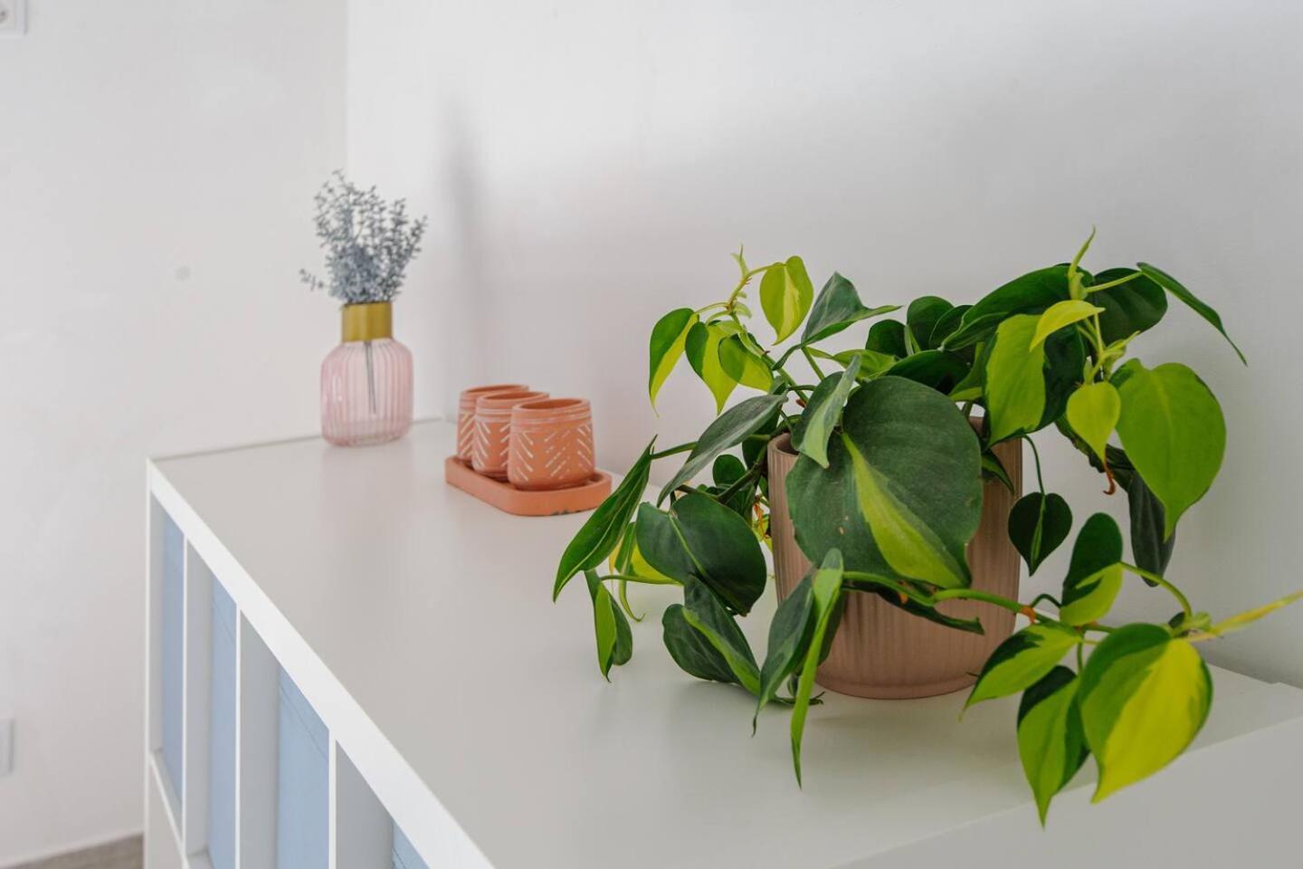 Sintra Sweet Apartment III - Free Parking Ngoại thất bức ảnh